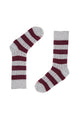 RUGBY GRIS-BURDEOS