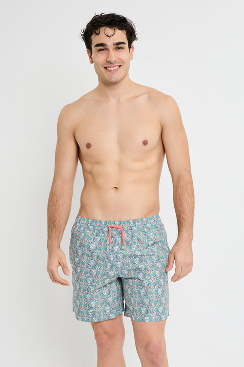 Tarifa Pack