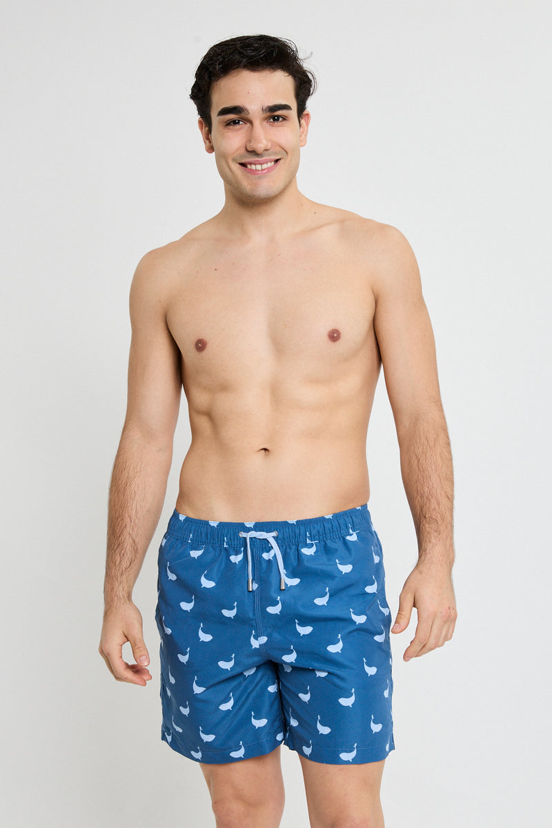 BALLENAS