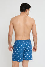 BALLENAS