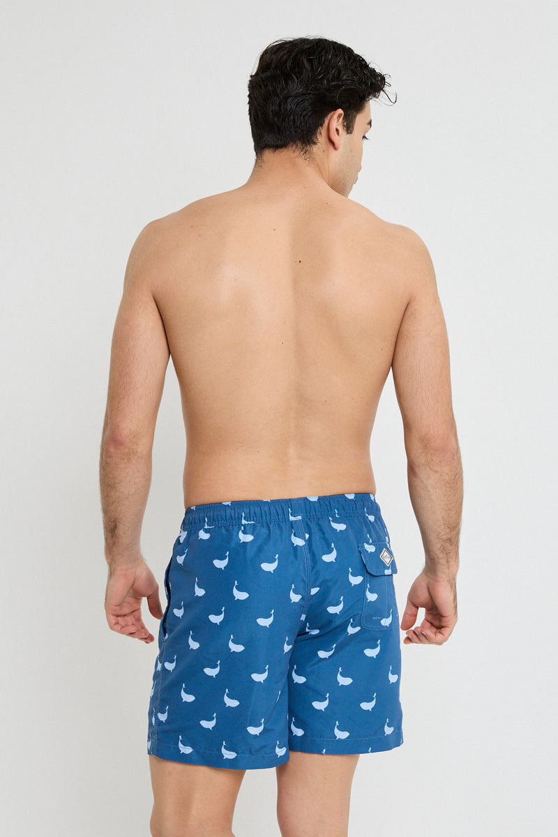 BALLENAS