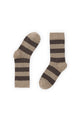 RUGBY MARRONES