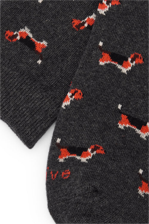 Calcetines originales con perro beagle sobre fondo gris oscuro, hechos en España