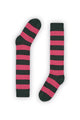 RUGBY VERDE-ROSA